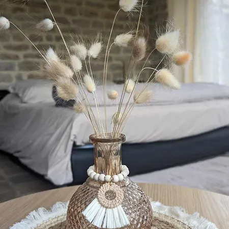 بيت ضيافة Boheme